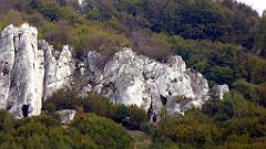 340_TZ60_P1040716_cr