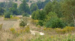 373_TZ60_P1040746_cr