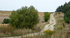 374_TZ60_P1040747_cr