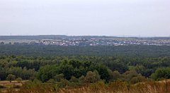 395_TZ60_P1040759_cr