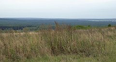 402_TZ60_P1040771_cr