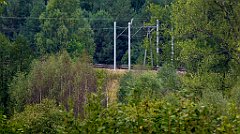 463_TZ60_P1040856_cr