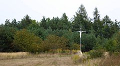 483_TZ60_P1040866_cr