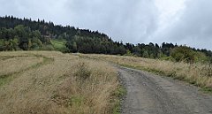 085_TZ60_P1040887_cr