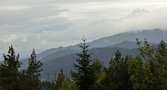 087_TZ60_P1040889_cr