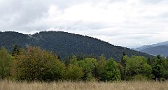 094_TZ60_P1040899_cr