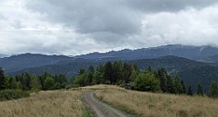 096_TZ60_P1040904_cr