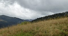 100_TZ60_P1040912_cr