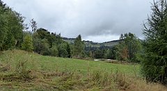 132_TZ60_P1040941_cr