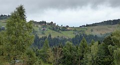 133_TZ60_P1040942_cr