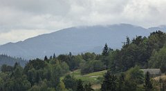 173_TZ60_P1040982_cr