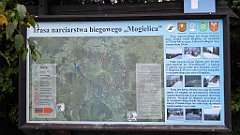 176_TZ60_P1040985_cr