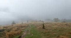 208_TZ60_P1050005_cr