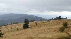 221_TZ60_P1050020_cr