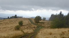 222_TZ60_P1050021_cr