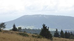 225_TZ60_P1050024_cr