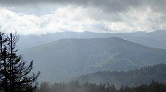 229_TZ60_P1050028_cr