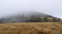 235_TZ60_P1050034_cr