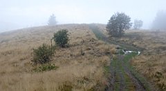 240_TZ60_P1050039_cr