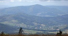 253_TZ60_P1050053_cr