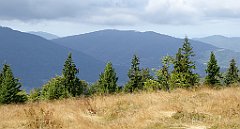 264_TZ60_P1050067_cr