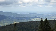 271_TZ60_P1050074_cr