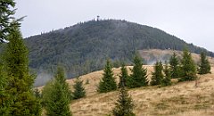 285_TZ60_P1050088_cr