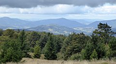 294_TZ60_P1050097_cr