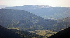 297_TZ60_P1050100_cr