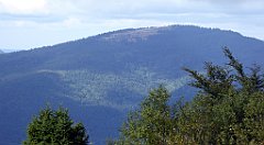 298_TZ60_P1050101_cr