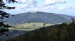 334_TZ60_P1050123_cr