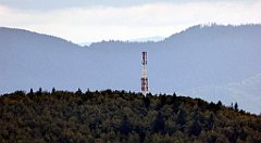 349_TZ60_P1050135_cr