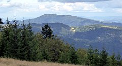 351_TZ60_P1050137_cr