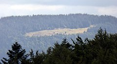 356_TZ60_P1050143_cr