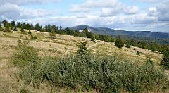 360_TZ60_P1050147_cr