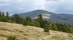 364_TZ60_P1050152_cr