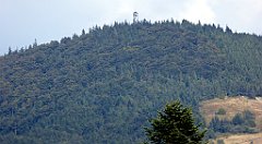 365_TZ60_P1050153_cr