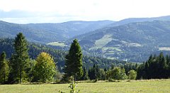 388_TZ60_P1050172_cr