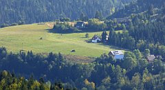 395_TZ60_P1050179_cr