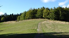 400_TZ60_P1050183_cr