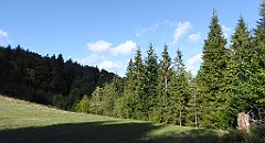 401_TZ60_P1050184_cr