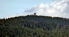 407_TZ60_P1050188_cr