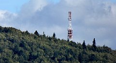 411_TZ60_P1050192_cr