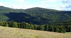 413_TZ60_P1050194_cr