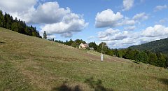 420_TZ60_P1050202_cr