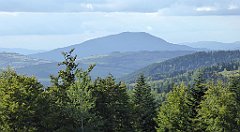 437_TZ60_P1050215_cr