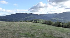 448_TZ60_P1050224_cr