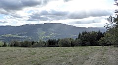 451_TZ60_P1050228_cr