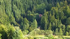 479_TZ60_P1050252_cr