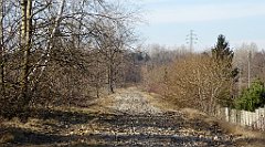 039_TZ60_P1060394_cr